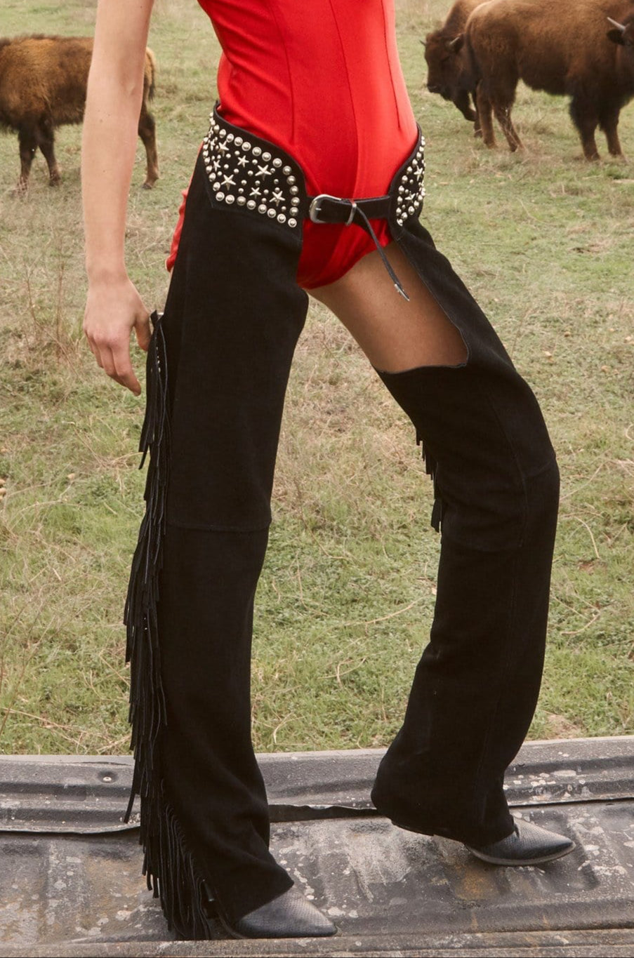 PARIS TEXAS CHAPS PANTS